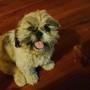 Meet your Posher, James